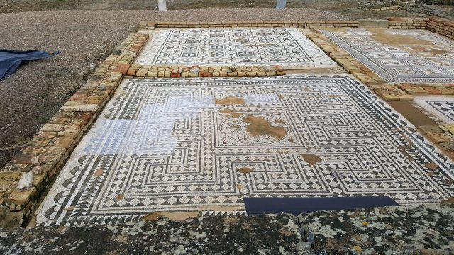 s384 italica